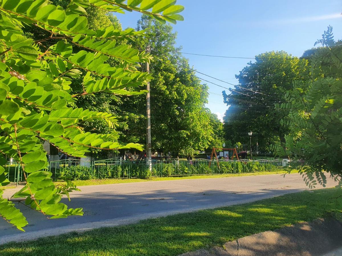 Casa De Vacanta Ayan Hărman Exterior foto